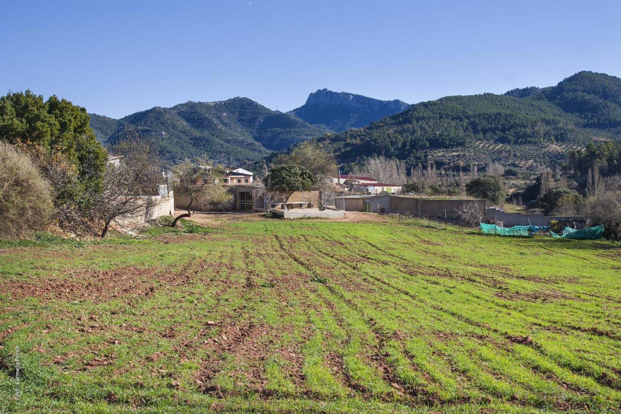 Casa Rural Chache Casto Bienservida Eksteriør bilde